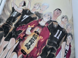 haikyuu, Furudate, Haruichi, art, book, artbook, illustrations, manga, sports, Hinata, Tobio, Karasuno